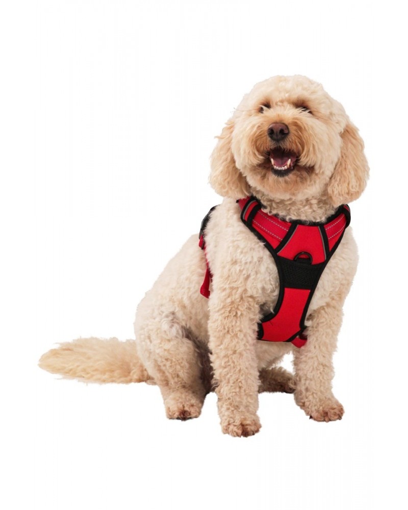 Dog Reflective Padded Harness - Small Red $11.72 Pets