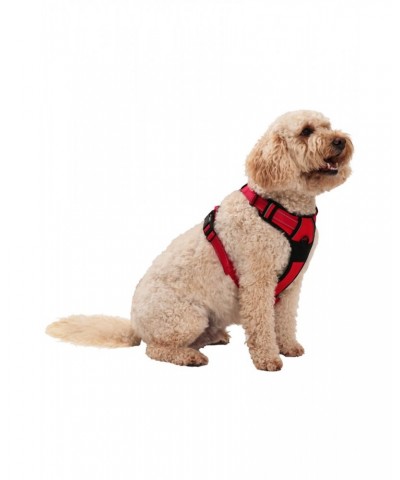 Dog Reflective Padded Harness - Small Red $11.72 Pets