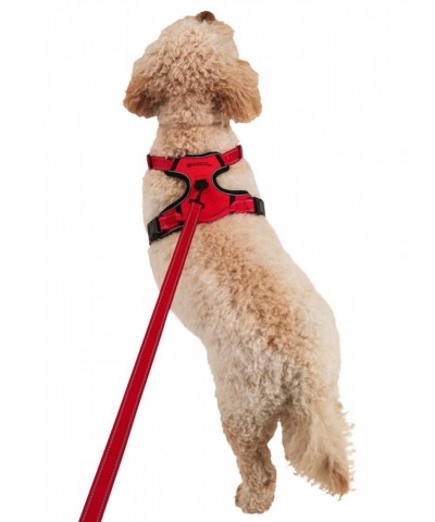 Dog Reflective Padded Harness - Small Red $11.72 Pets